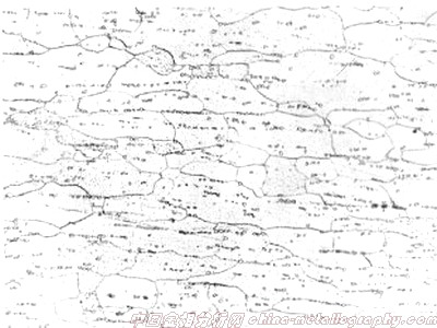 08鋼鋼管顯微組織圖片(圖1)