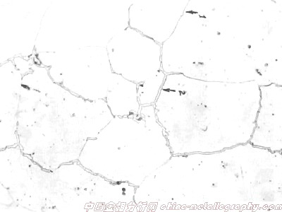 08鋼鋼管顯微組織圖片(圖5)