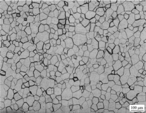工業純鈦 金相圖譜(圖2)
