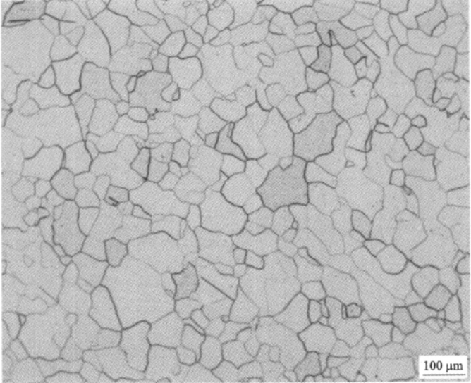 工業純鈦 金相圖譜(圖5)