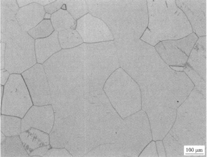 工業純鈦 金相圖譜(圖4)
