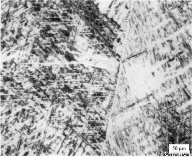 圖1-18 TA7合金α相區1170℃30’水淬處理，快冷形成的馬氏體.png