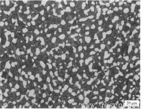 圖2-16 TC11合金雙態組織.png