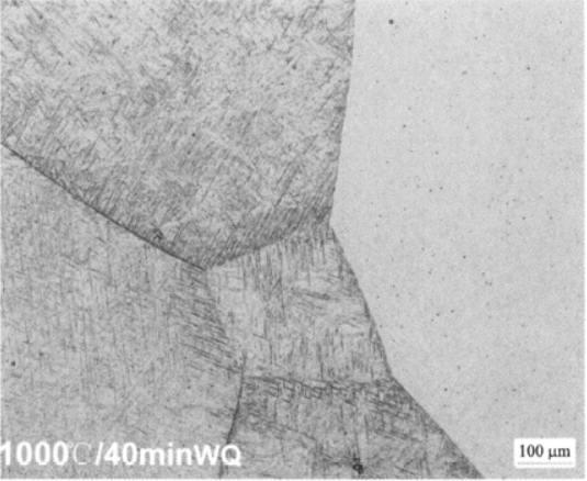 Ti8LC低成本鈦合金  金相圖譜(圖7)