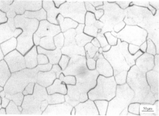 Ti-15-3合金  金相圖譜(圖2)