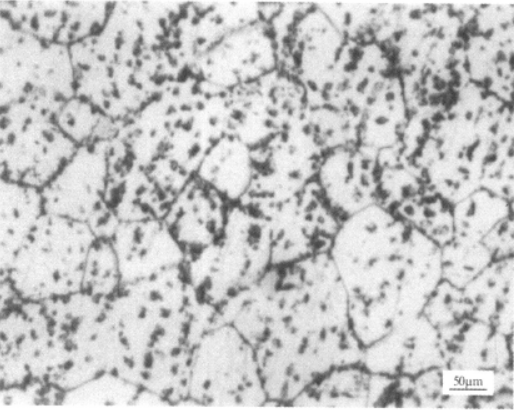 Ti-15-3合金  金相圖譜(圖3)