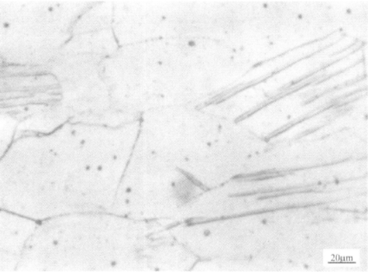 Ti-15-3合金  金相圖譜(圖6)