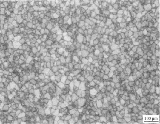 Ti26合金  金相圖譜(圖8)
