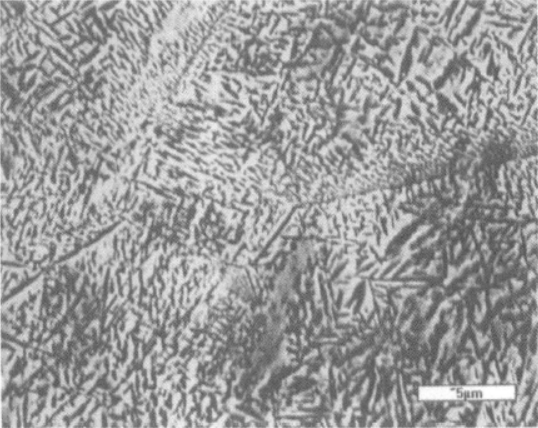 Ti26合金  金相圖譜(圖9)