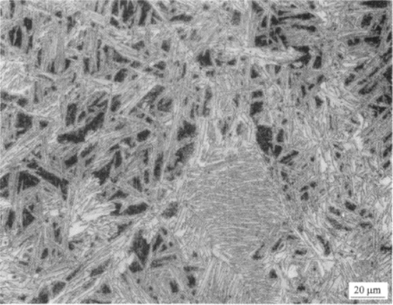 Ti1300合金  金相圖譜(圖7)